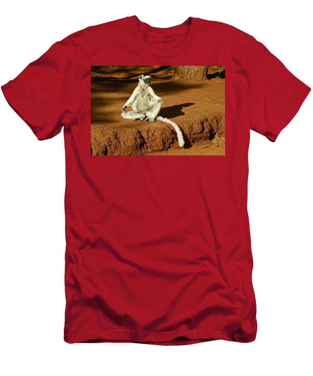 1 Catching Rays Michele Burgess T-Shirt