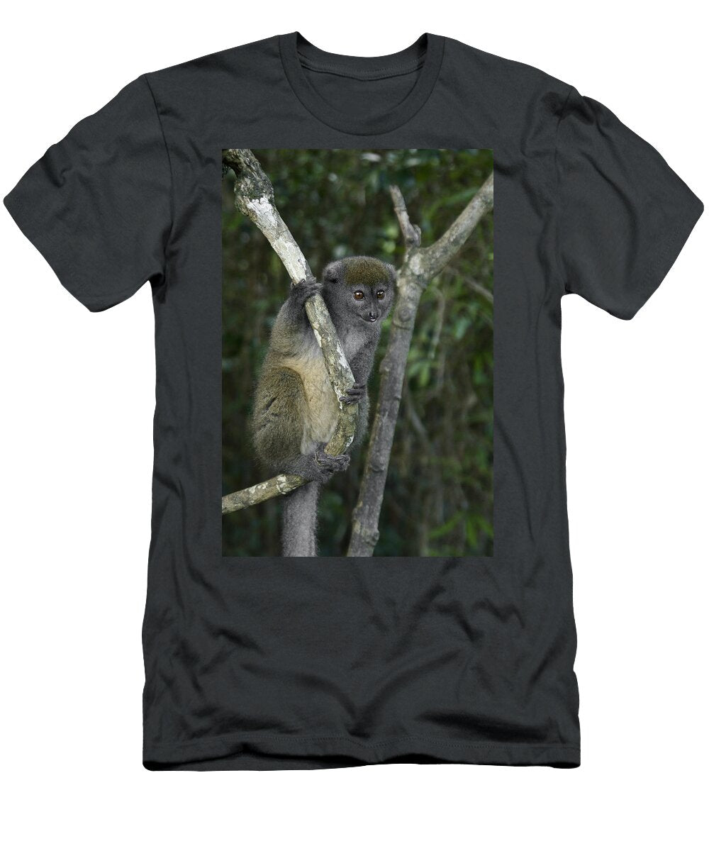 1 Gray Bamboo Lemur Michele Burgess T-Shirt