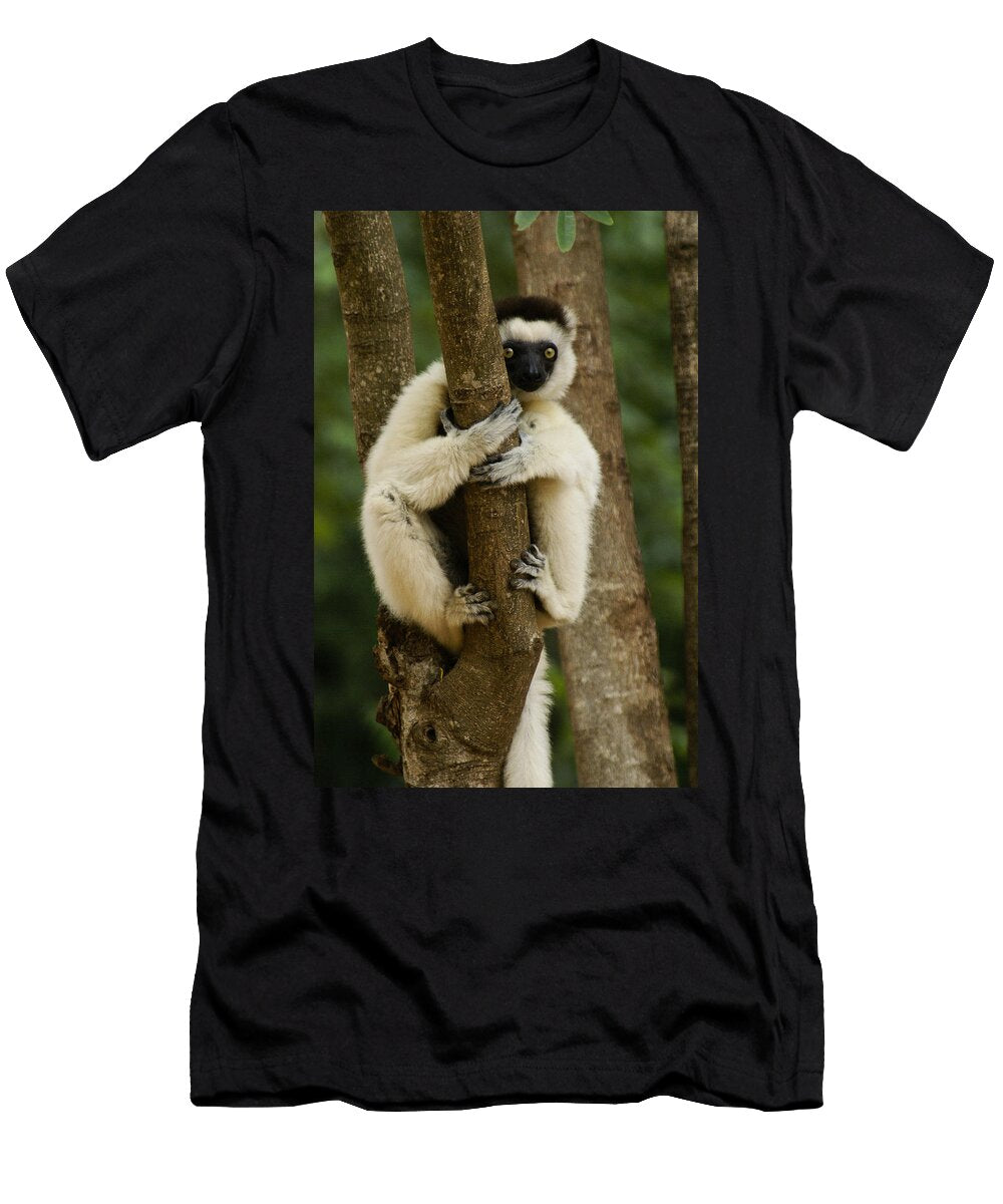 1 Verreauxs Sifaka Michele Burgess T-Shirt