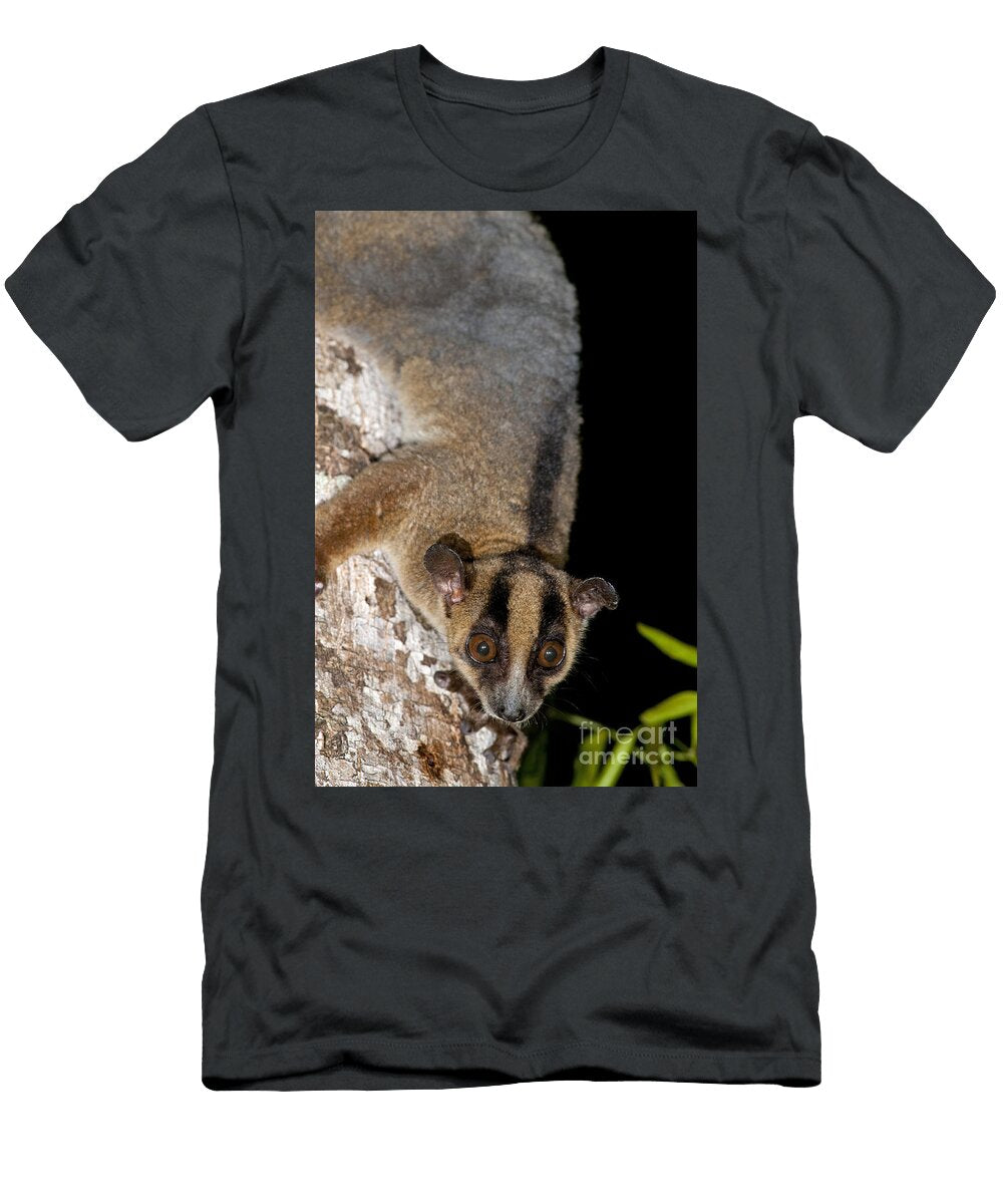 1 Western Fork Marked Lemur Tony Camacho T-Shirt