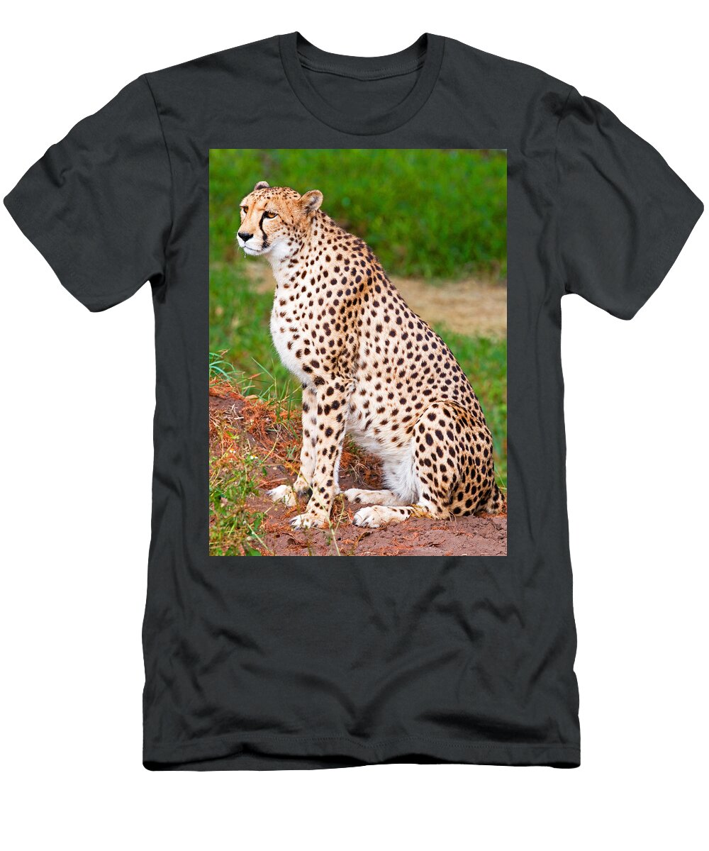 14 Cheetah Millard H Sharp T-Shirt