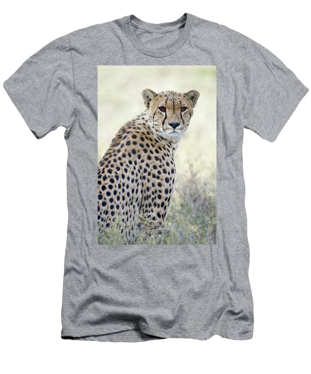 Cheetah Acinonyx Jubatus Tanzania Animal Images T-Shirt