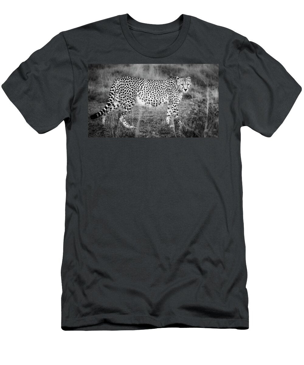 Cheetah on the Prowl Kenya Bw Joan Carroll T-Shirt