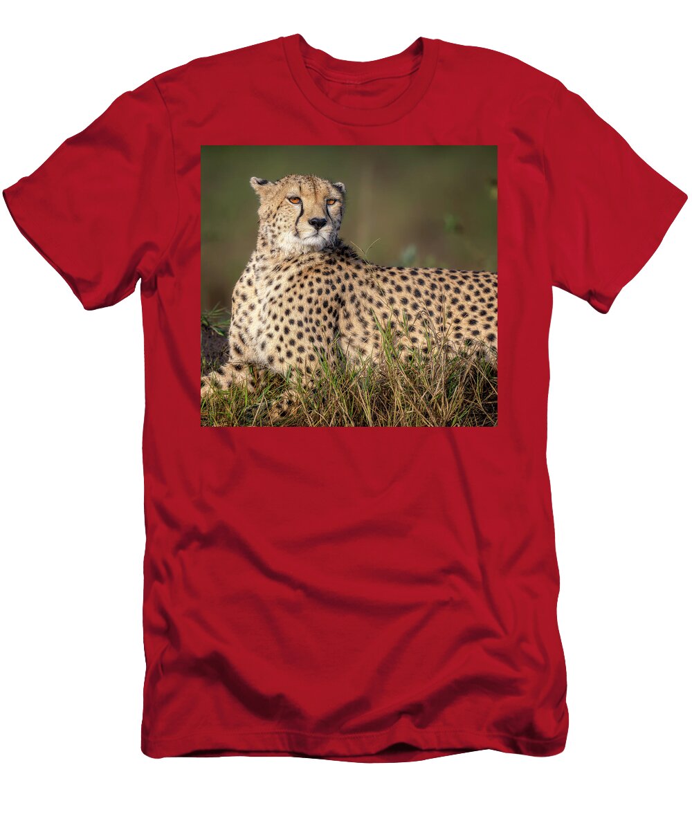 Elegant Cheetah Masai Mara Kenya Joan Carroll T-Shirt