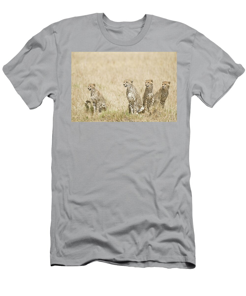 Four Cheetah Cubs Acinonyx Jubatus Animal Images T-Shirt
