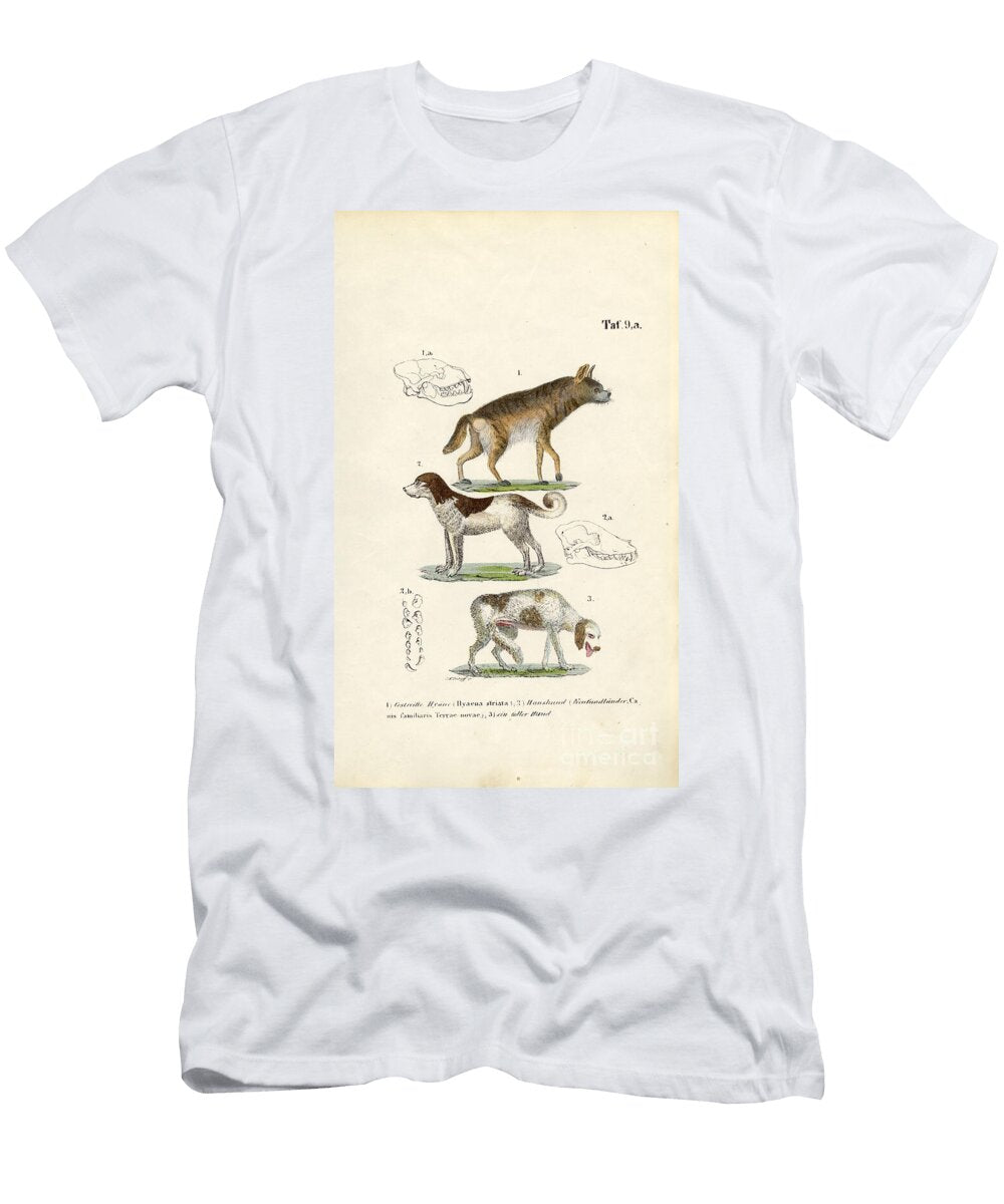 Hyena Domestic Dog and Old Dog with Skull Illustrations 1850 Lithography J W Tenhaeff T-Shirt