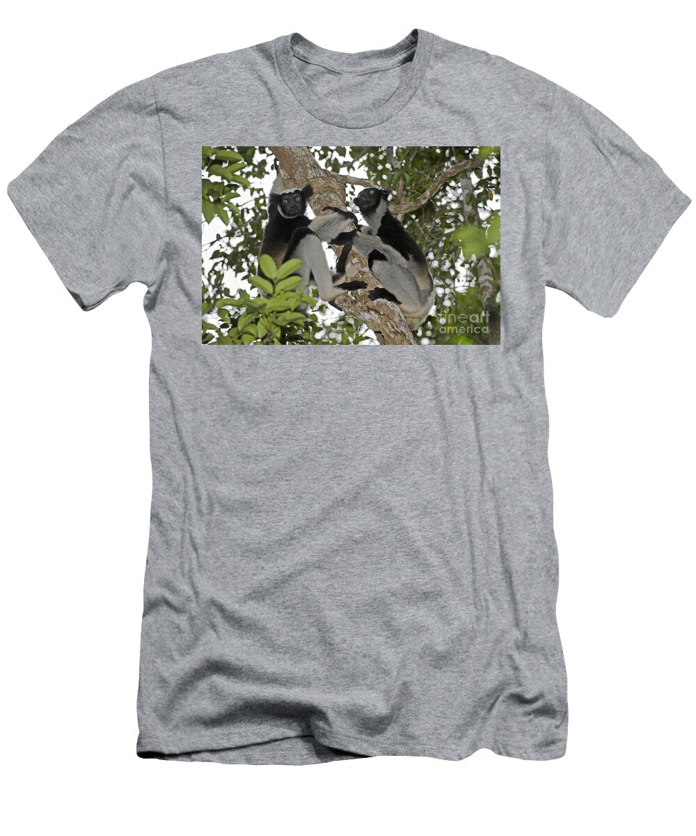 Indri Lemurs Tony Camacho T-Shirt
