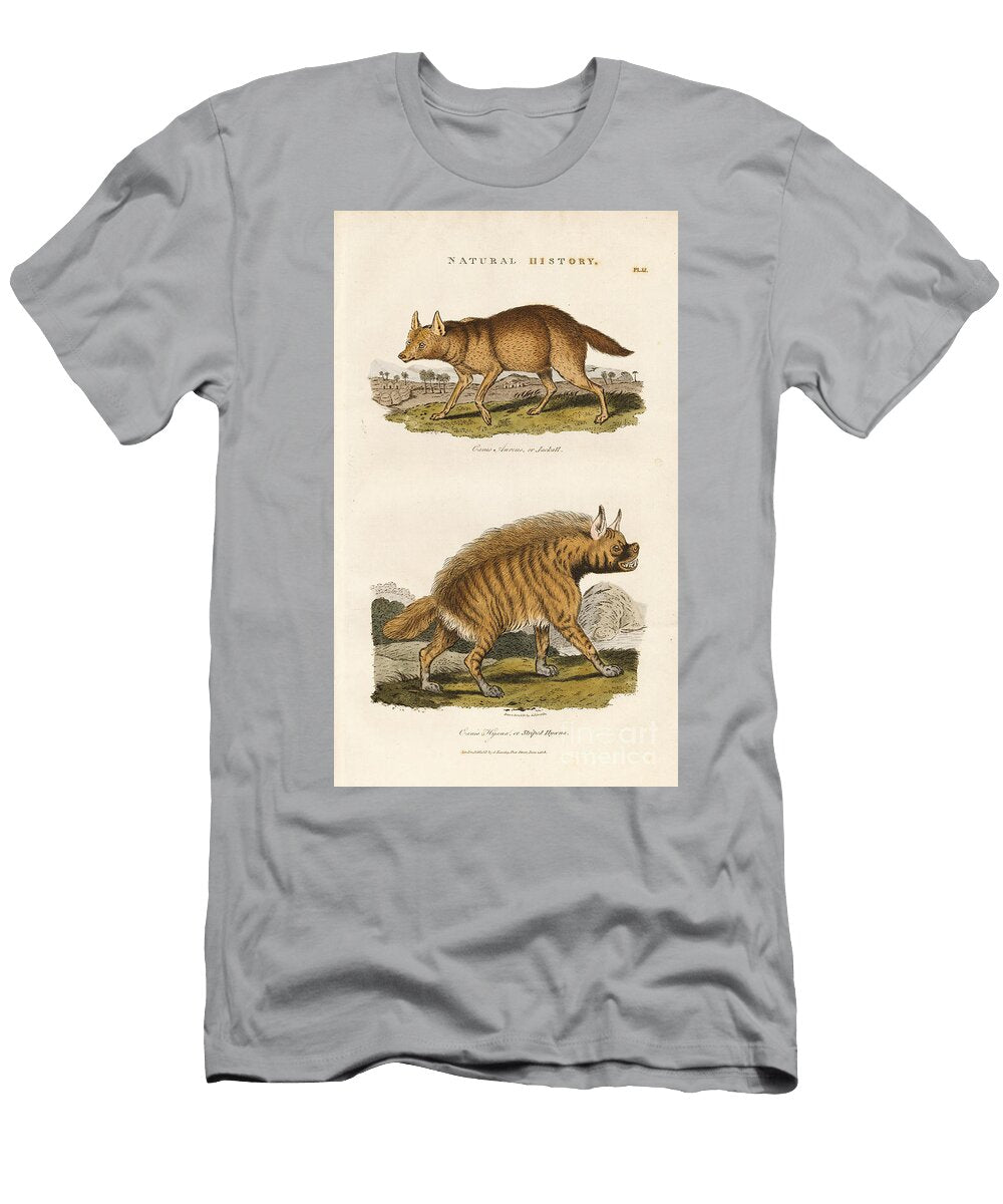Jackal and Striped Hyena 1813 Engraving Sydenham Teast Edwards T-Shirt