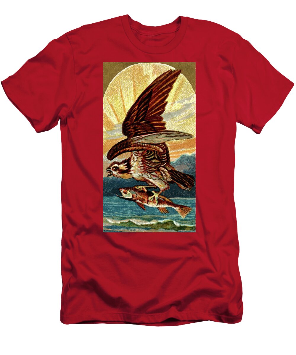 Kestrel Vintage Animal Illustration Picked and Shared T-Shirt