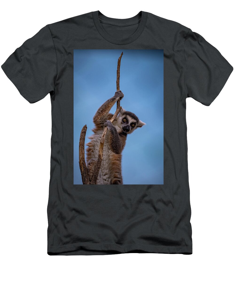 Lemur Erin Okeefe T-Shirt