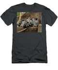 Lemurs Cuddled Up Sleeping Flees Photos T-Shirt