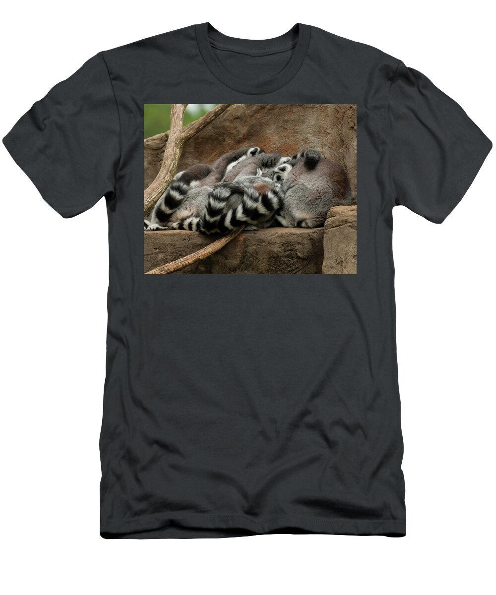 Lemurs Cuddled Up Sleeping Flees Photos T-Shirt
