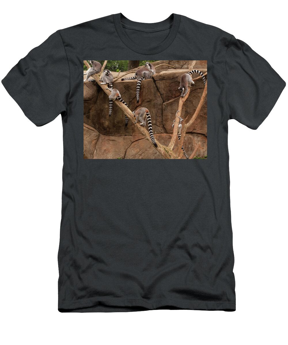 Lemurs Frolicking 2 Flees Photos T-Shirt