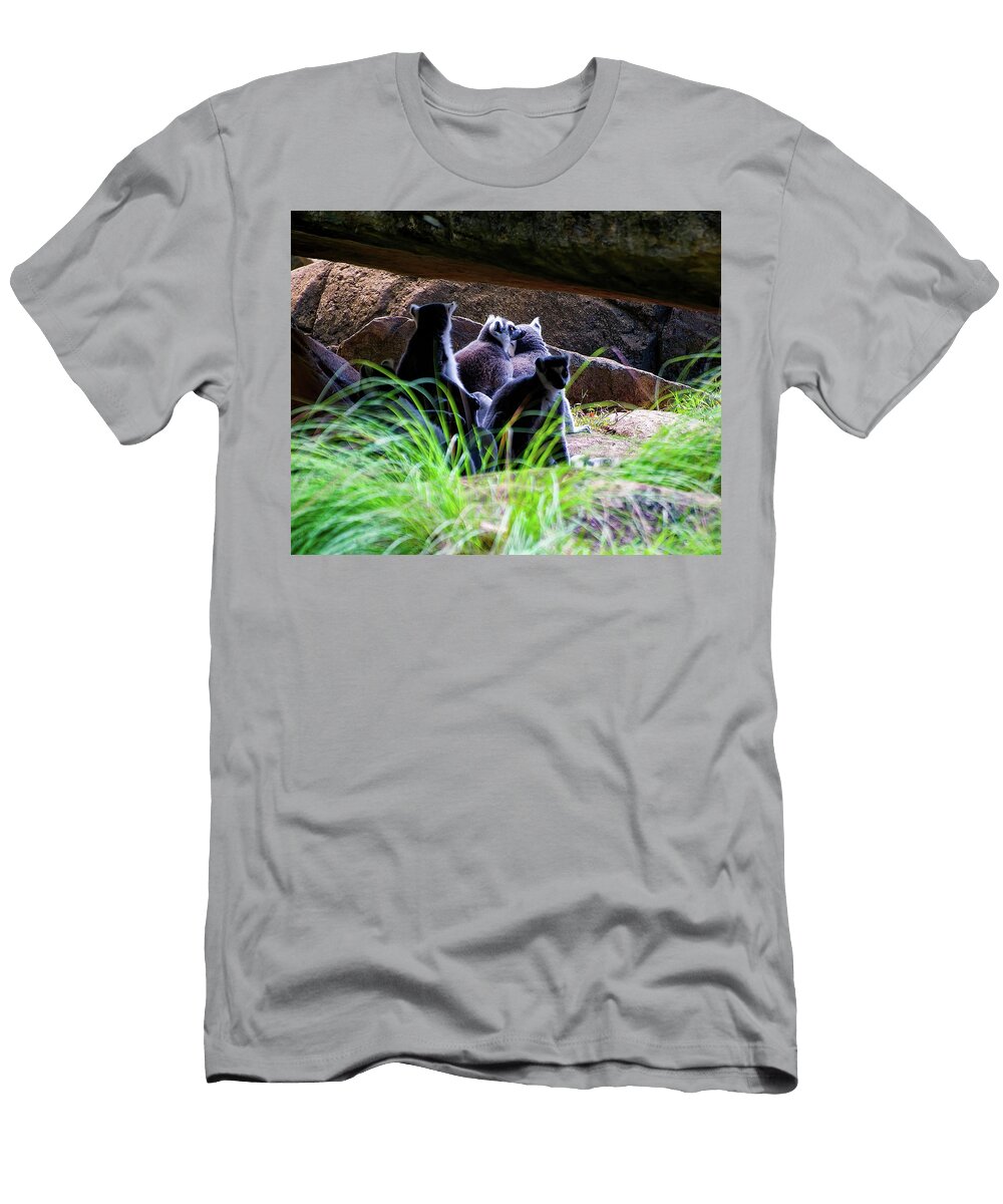 Lemurs in a Rock Den Flees Photos T-Shirt