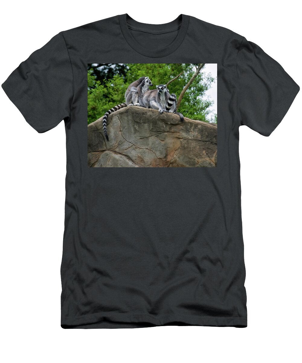Lemurs on High Flees Photos T-Shirt