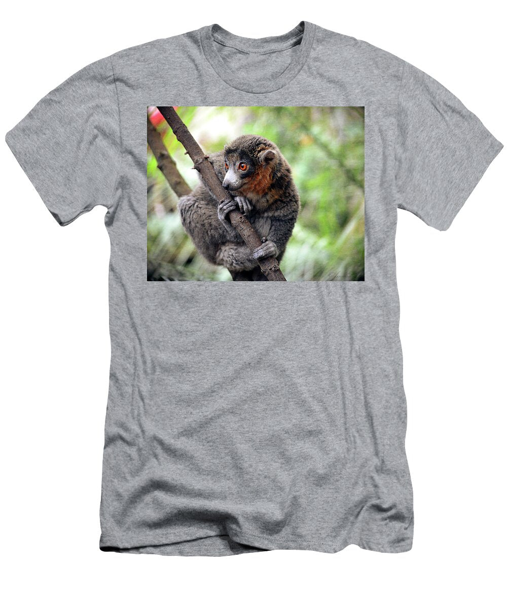 Mongoose Lemur on a Tree Maria Angelica Maira T-Shirt