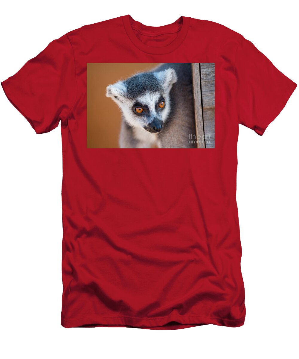 Ring Tailed Lemur George Atsametakis T-Shirt