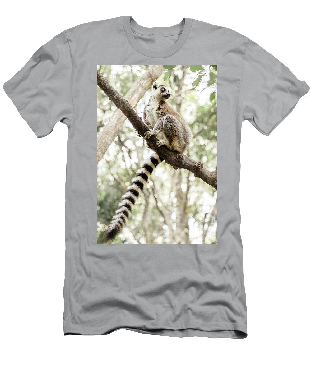 Ringtail Lemur Alexey Stiop T-Shirt
