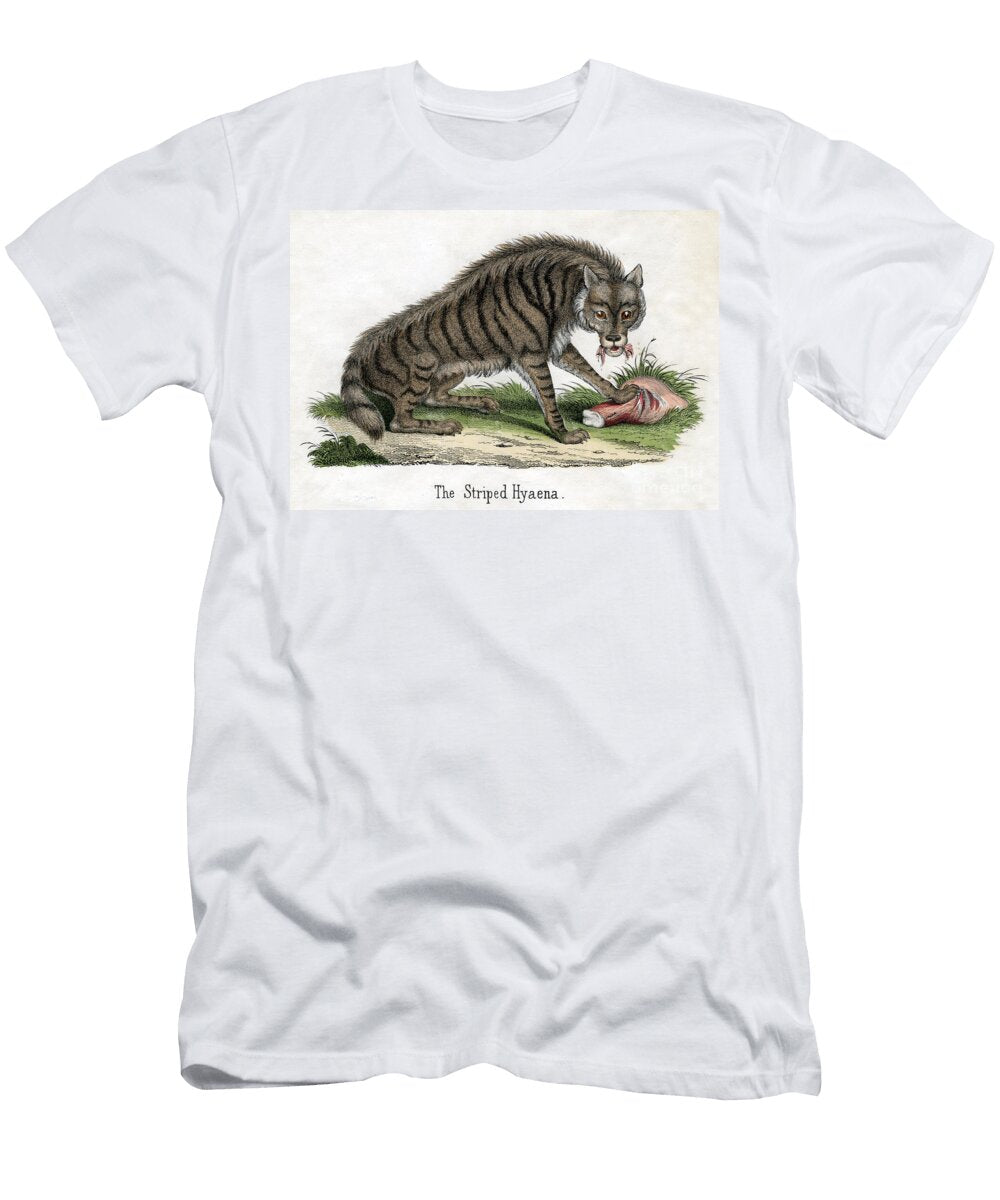 Striped Hyena From the Natural History of Animals 1859 American School T-Shirt