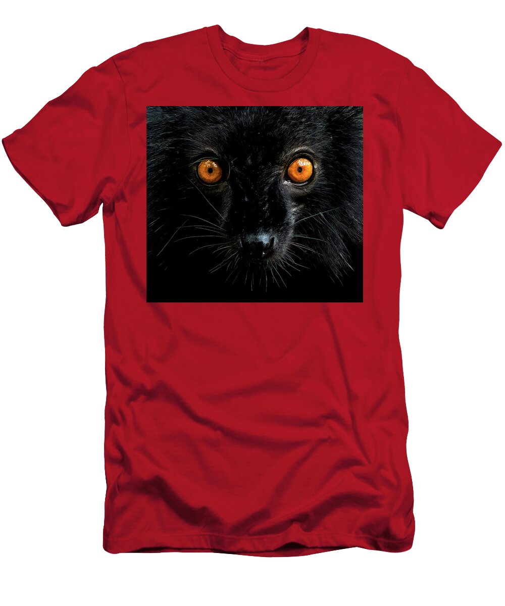 Stunning Black Lemur Close Up Conrad Peloquin T-Shirt