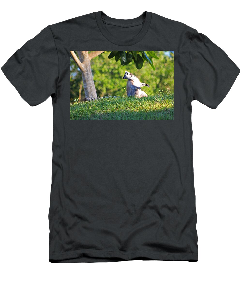 Who Is There Iryna Burkova T-Shirt